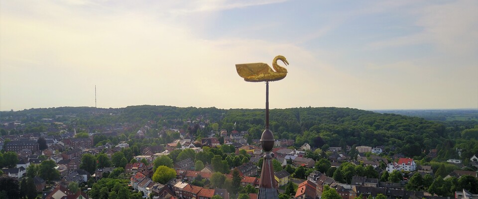 Goldener Schwan auf dem Turm